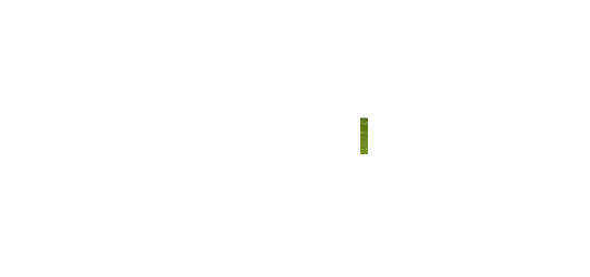 Funconf III