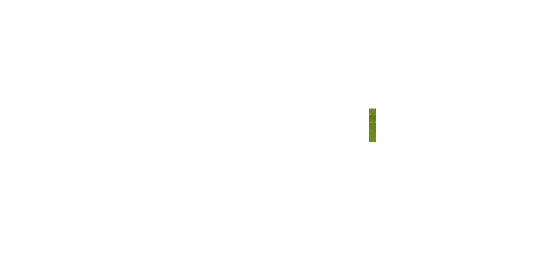 Funconf III