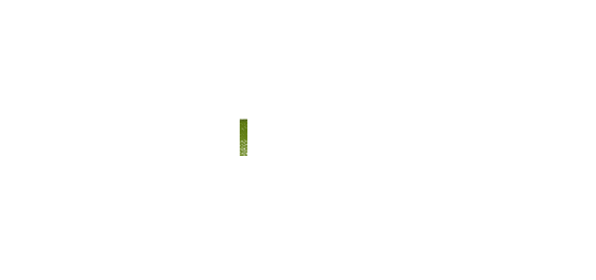 Funconf III