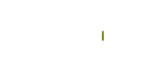 Funconf III