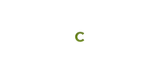 Funconf III