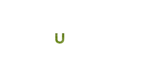 Funconf III